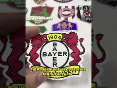 Kualitas Tinggi Logo Disesuaikan untuk Pakaian TPU Transfer Label Transfer Panas Logo Pakaian Label